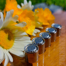 Medi-Pod Dosing Capsule closeup with the G Pen Elite 2 vape NZ